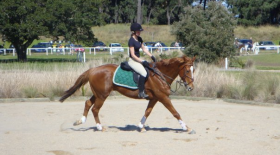 Moore Park Stables