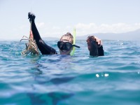 Bloomfield Lodge tour guide gathers fresh seafood for dinner as part of the Hope Island Reef Tour