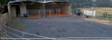 Stables